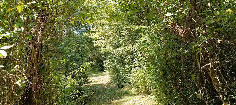 Coal Ridge Park & Trail - Cambridge, OH