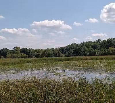 Coal Ridge Park & Trail - Cambridge, OH