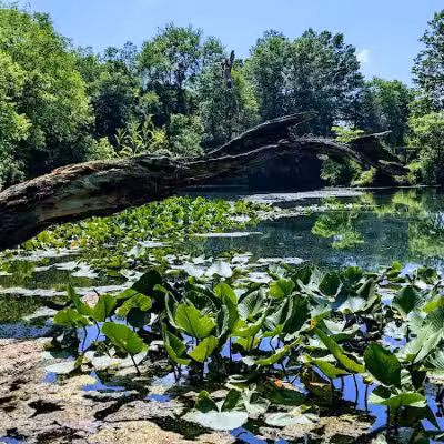 Coal Ridge Park & Trail - Cambridge, OH