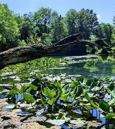 Coal Ridge Park & Trail - Cambridge, OH