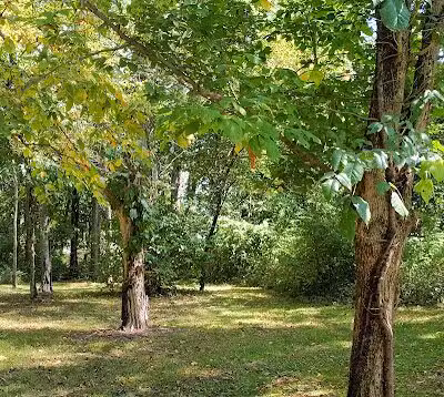 Coal Ridge Park & Trail - Cambridge, OH