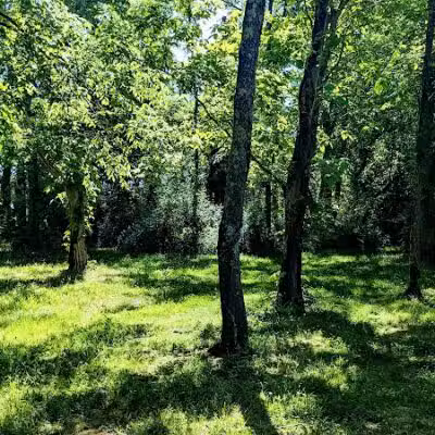 Coal Ridge Park & Trail - Cambridge, OH