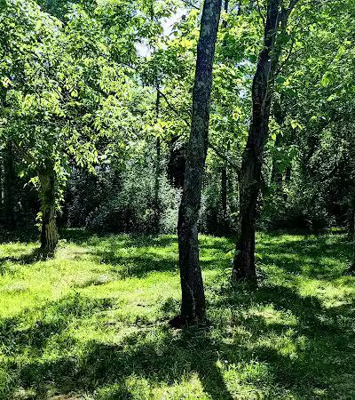 Coal Ridge Park & Trail - Cambridge, OH