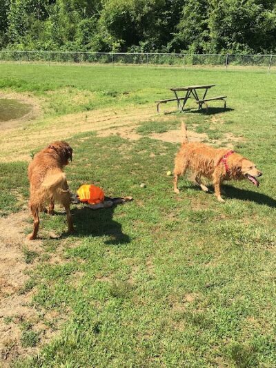Dog Park - Cambridge, OH