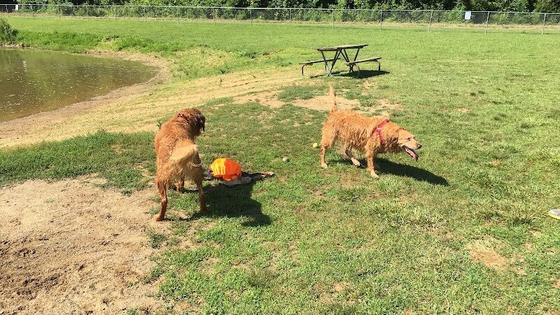 Dog Park - Cambridge, OH