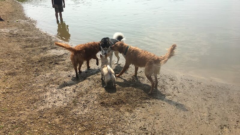 Dog Park - Cambridge, OH