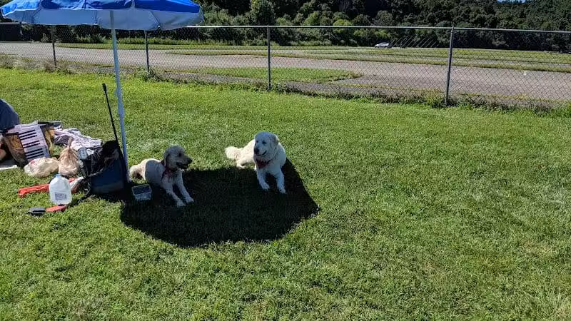 Dog Park - Cambridge, OH