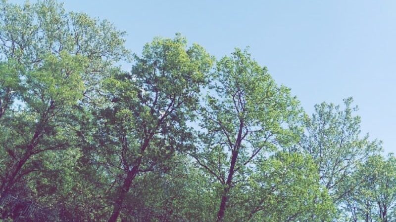 John Schiely Municipal Park - Waterworks Park - Camden, OH