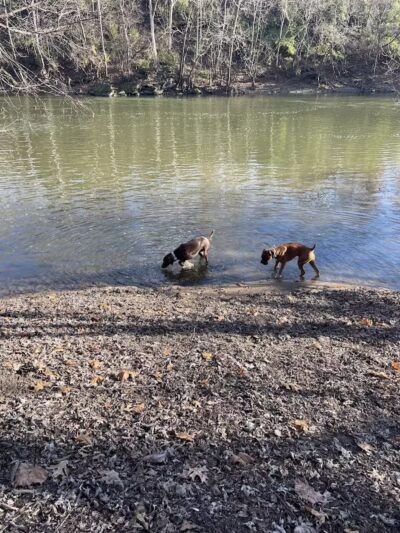 Camp Dennison Nature Trail - Camp Dennison, OH
