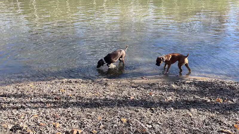 Camp Dennison Nature Trail - Camp Dennison, OH