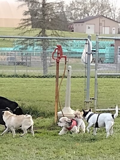 Canal Fulton Dog Park - Canal Fulton, OH