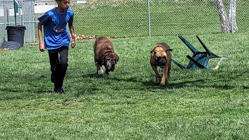 Canal Fulton Dog Park - Canal Fulton, OH