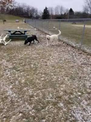 Canal Fulton Dog Park - Canal Fulton, OH