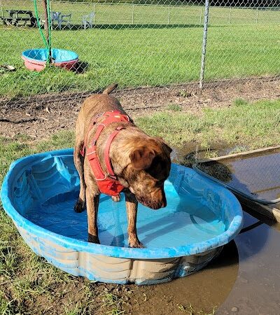 Canal Fulton Dog Park - Canal Fulton, OH