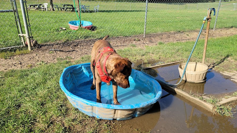 Canal Fulton Dog Park - Canal Fulton, OH