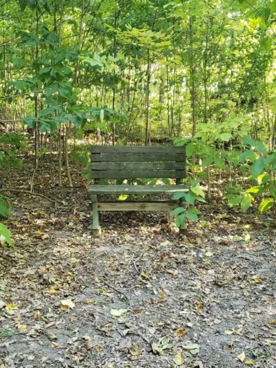 Busey Road Park - Canal Winchester, OH