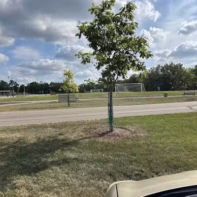 McGill Park - Canal Winchester, OH