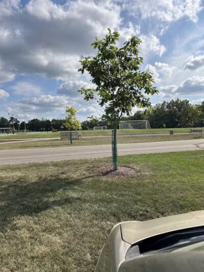 McGill Park - Canal Winchester, OH