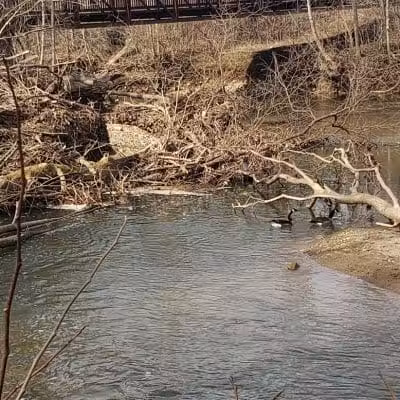 Portman Park - Canal Winchester, OH