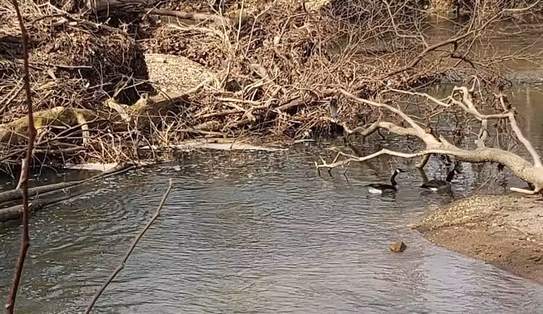 Portman Park - Canal Winchester, OH