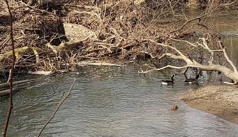 Portman Park - Canal Winchester, OH