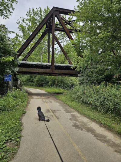 Portman Park - Canal Winchester, OH