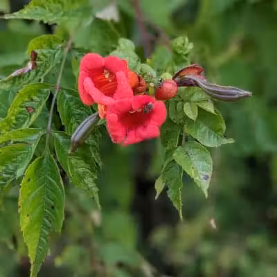 Walnut Creek Park - Canal Winchester, OH
