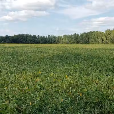 Walnut Creek Park - Canal Winchester, OH