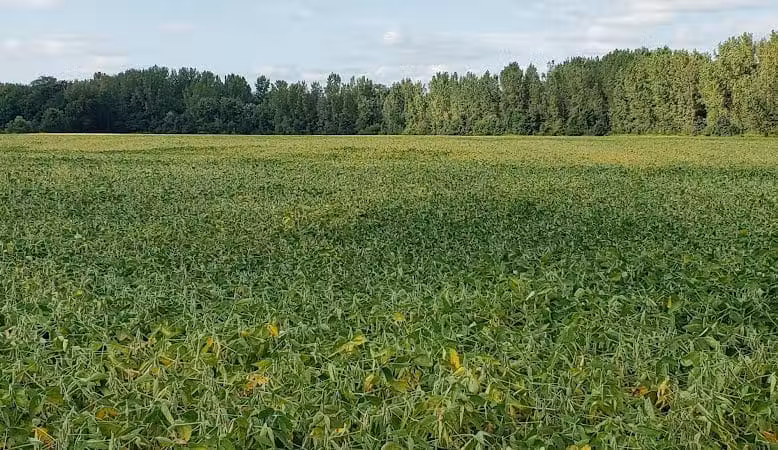 Walnut Creek Park - Canal Winchester, OH