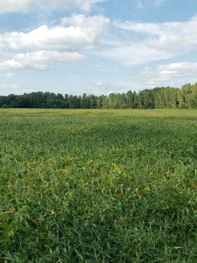 Walnut Creek Park - Canal Winchester, OH