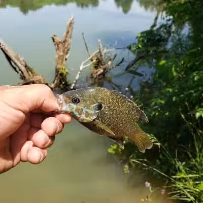 Walnut Creek Park - Canal Winchester, OH