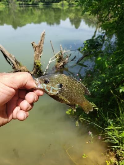Walnut Creek Park - Canal Winchester, OH