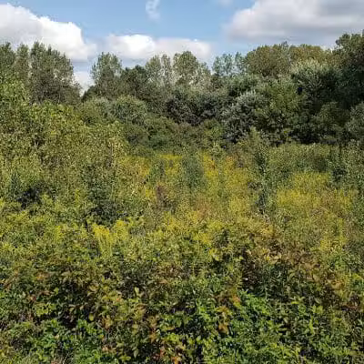 Walnut Creek Park - Canal Winchester, OH
