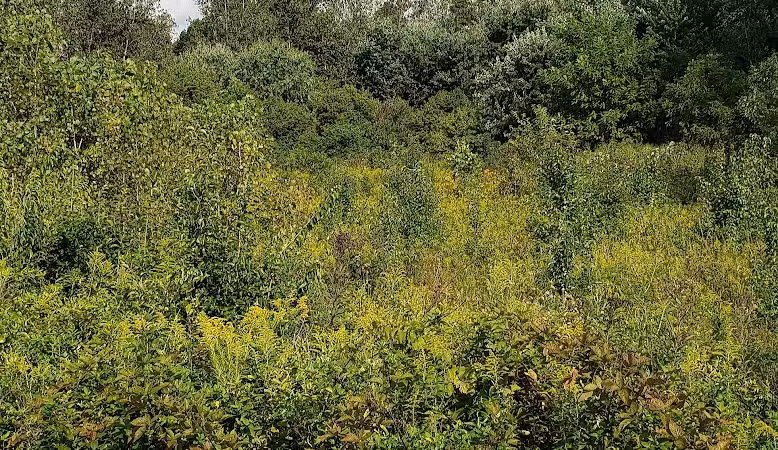 Walnut Creek Park - Canal Winchester, OH