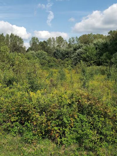 Walnut Creek Park - Canal Winchester, OH