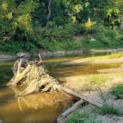 Walnut Creek Park - Canal Winchester, OH