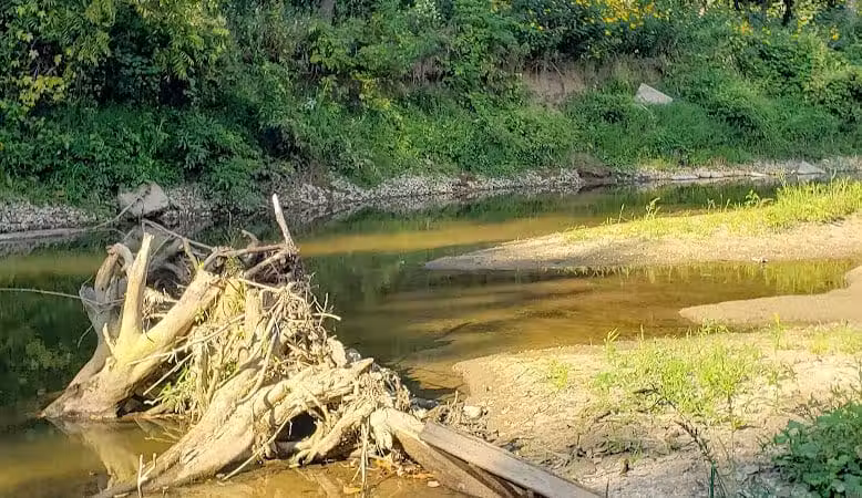 Walnut Creek Park - Canal Winchester, OH