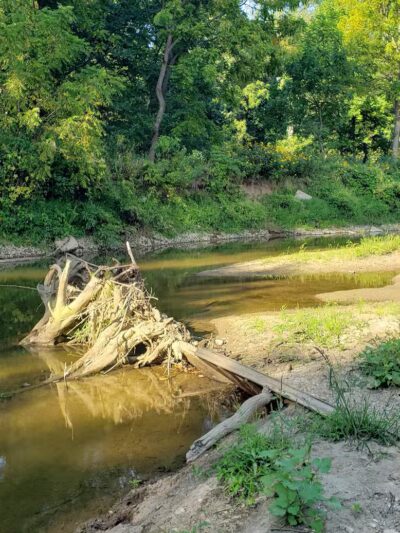 Walnut Creek Park - Canal Winchester, OH