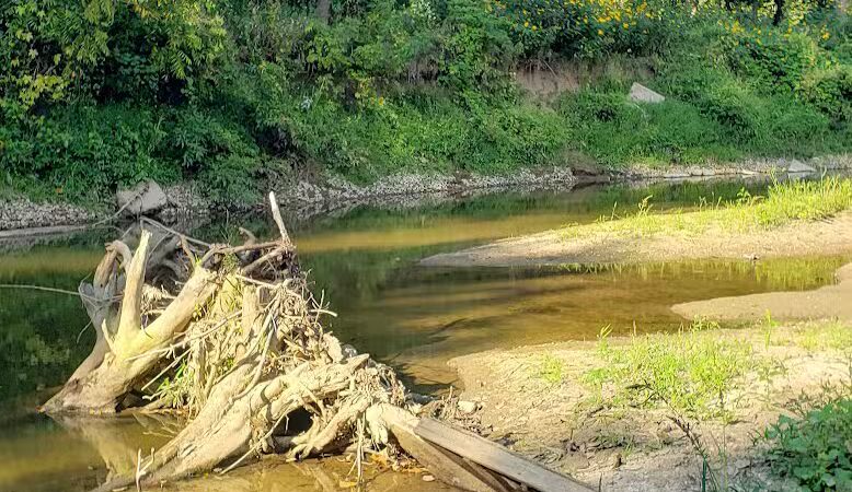 Walnut Creek Park - Canal Winchester, OH