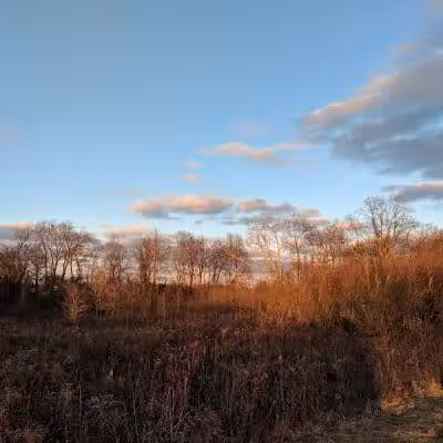 Walnut Creek Park - Canal Winchester, OH