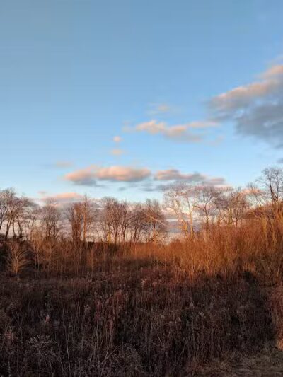 Walnut Creek Park - Canal Winchester, OH