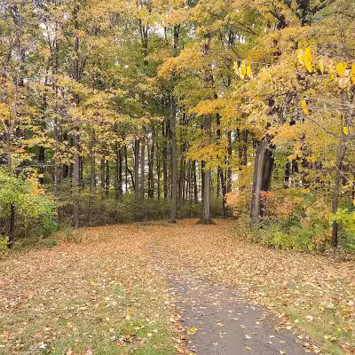 Westchester Park - Canal Winchester, OH