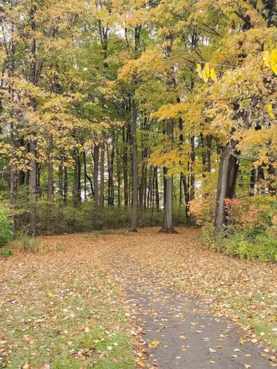 Westchester Park - Canal Winchester, OH