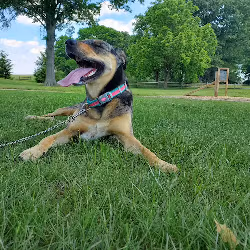 Westchester Park - Canal Winchester, OH
