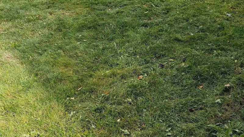 Winchester Meadows Park - Canal Winchester, OH