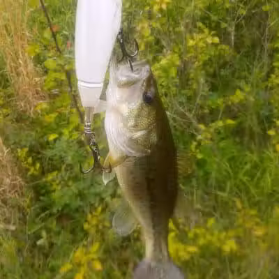 Winchester Meadows Park - Canal Winchester, OH