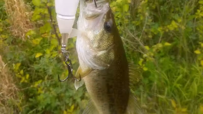 Winchester Meadows Park - Canal Winchester, OH