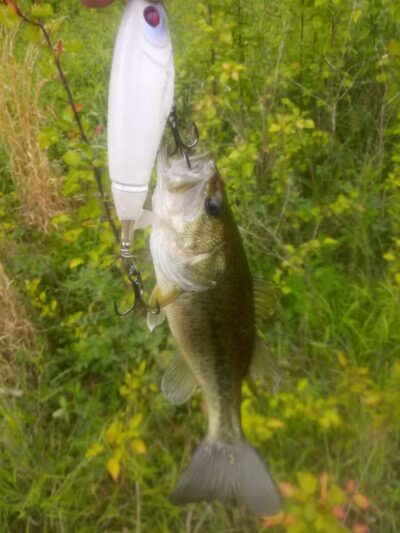 Winchester Meadows Park - Canal Winchester, OH