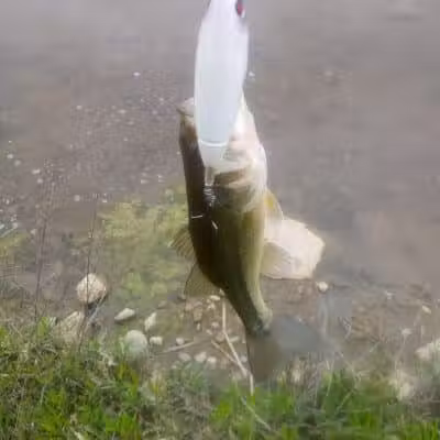 Winchester Meadows Park - Canal Winchester, OH