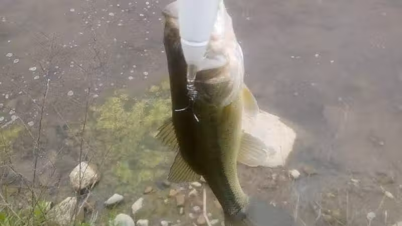 Winchester Meadows Park - Canal Winchester, OH